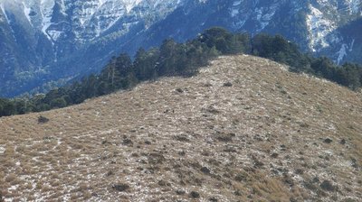 5人登山隊雪山待援  出動直升機救下山送醫