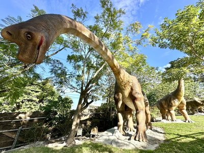 彰化百果山探索樂園將回歸 居民開心:終於等到