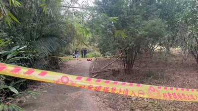 花蓮28歲女陳屍玉里鎮公墓　報案男友涉重嫌遭移送