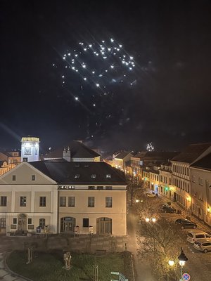 捷克跨年嚴管煙火保護動物環境 增禁放與銷售限制