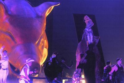 蔡依林元旦站金豬撒幣　3600萬道具從美包機來台