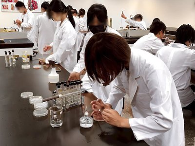 新北寒假推一日大學生營隊  跨域探索AI到生醫