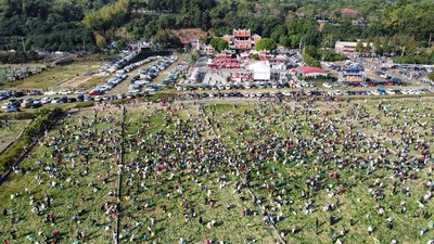 彰化芬園免費拔蘿蔔　5千人20分鐘拔光5萬根