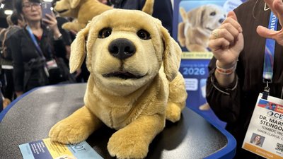 CES陪伴型機器人搶眼  美日業者計畫進軍台灣市場