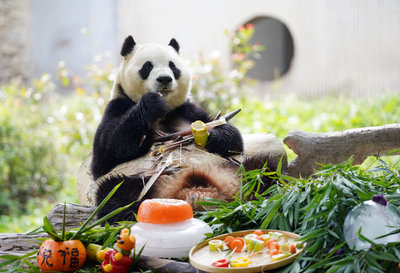 李在明訪中  韓國可望繼續租借大貓熊