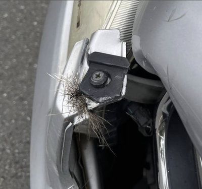 彰化台74甲線水鹿撞車「肇逃」　駕駛無傷車頭凹陷