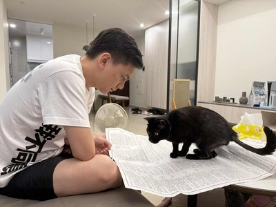 愛貓UNO力挺度過罷免 牛煦庭盼增補貼擴大領養誘因