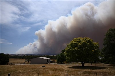 澳洲叢林大火逾3.8萬戶停電 維州宣布災難狀態
