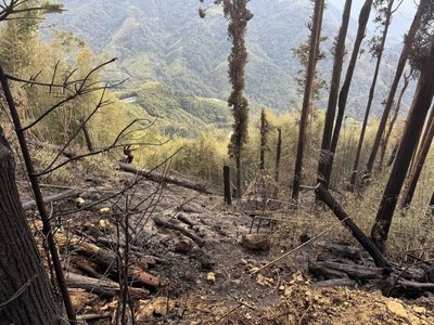 雲林草嶺森林火勢撲滅　縣府現勘盤點提升救災量能