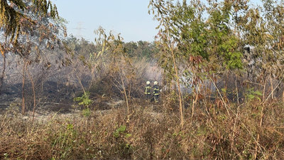濁水溪沿岸多起雜草火警　彰化消防籲謹慎用火