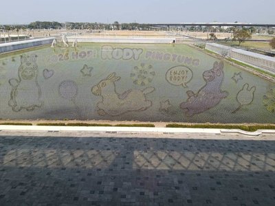 屏東熱博2/7登場　聯名「跳跳馬RODY」設彩稻田