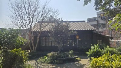 新埔鎮山茶花老樹列受保護樹木　新竹縣茶花首例