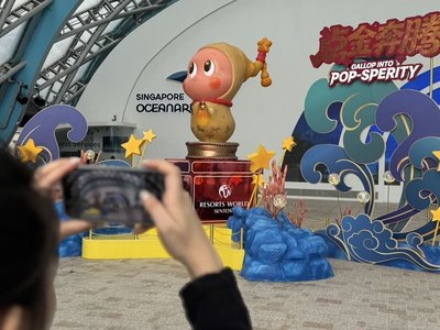 搶攻農曆年觀光 新加坡景點攜手潮牌、巨幅昆蟲展