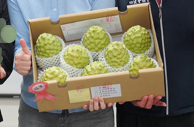 台東鳳梨釋迦外銷萎縮 莊瑞雄陳瑩籲速啟動產銷調節