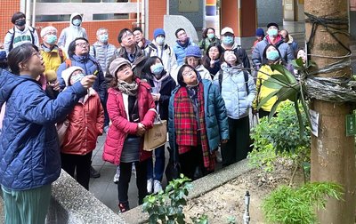 新北防範校園樹木倒伏風險　培力褐根病專業防治