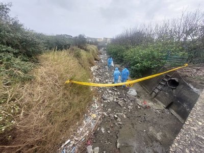 台中禽流感死雞丟埋苗栗　鍾東錦震怒要求重罰送辦