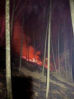 雲林草嶺石壁仙谷山林火警 村民、消防拉水線搶救