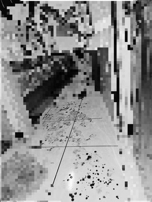 蘆洲7旬翁持榔頭追打前妻和兩女兒　遭羈押禁見