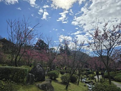 北市春節交通管制開跑　陽明山花季列重點區域