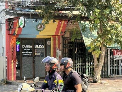 泰國娛樂用大麻管控趨嚴　逾7000家店恐關門