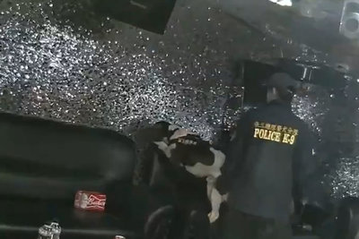 台南KTV專供移工開轟趴　警攻堅帶緝毒犬搜出毒品