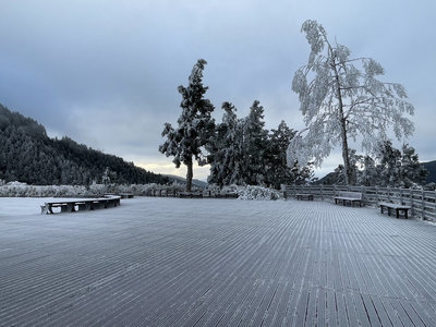 太平山現零下低溫  未下雪但可見霧淞美景