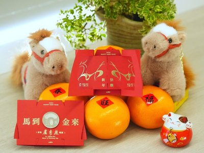 迎接馬年　台中市長盧秀燕初一訪4宮廟發小紅包