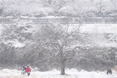 日本大雪持續近3週　釀46死558傷