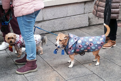 9場風暴襲擊　西班牙1月破25年來最多雨紀錄