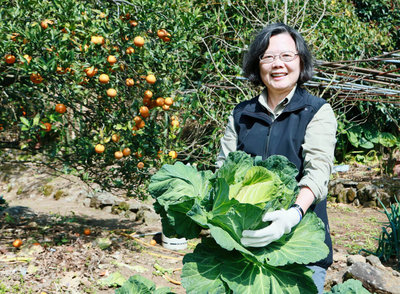 蔡英文山居迎新春 拔菜採橘還替狗狗拍美照