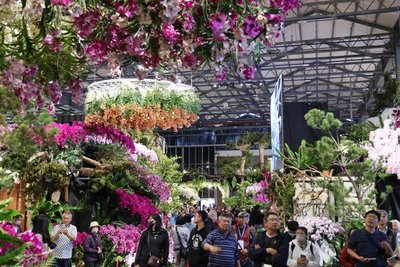 2026台灣國際蘭展開展　大批民眾入園賞蘭
