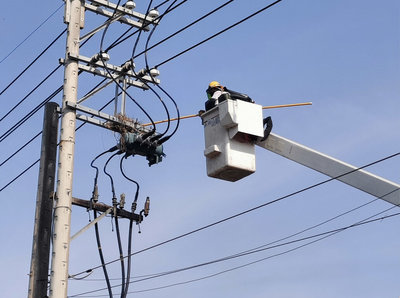 台電驚蟄專案上線 動員逾4千人防鳥獸停電