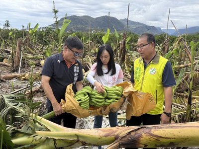 台東國有耕地因應天災侵襲減租  近萬戶農民受惠