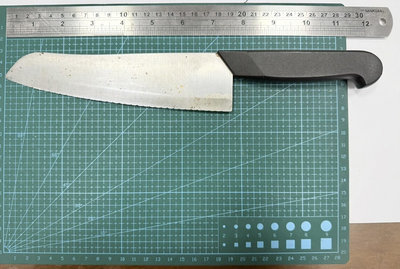 男子凌晨持刀欲闖總統府　警壓制逮捕送辦