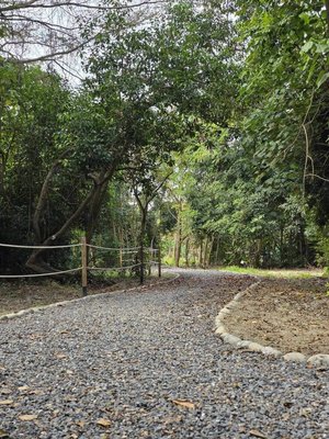 屏東萬丹森林公園15日啟用　潘若迪率千人跳有氧