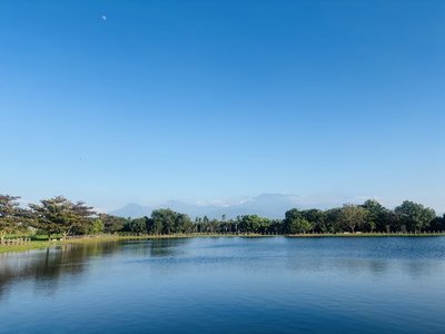 屏東復育草鴞棲地　海豐、圳寮濕地打造保護示範區