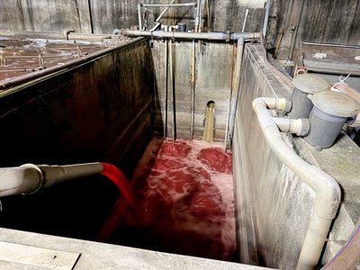 福伯食品屠宰場私設暗管偷排血水  新北勒令停工