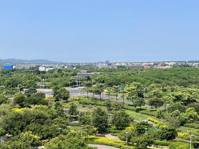 2027台灣燈會在苗栗　縣府：燈區設高鐵站周邊