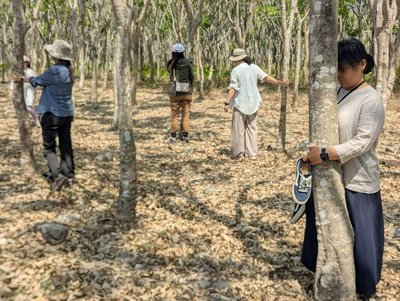 準森療師屏東成果發表　將推春季森林處方箋體驗週