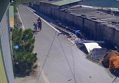 彰化婦遭3犬咬百處傷口　家屬籲重視遊蕩犬問題