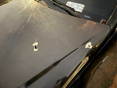 新北三重男拒檢遭警開2槍逃逸　自行投案送法辦