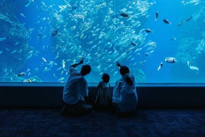 台中兒童節免費好康捐書遊海洋館 12歲以下童玩樂園