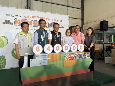 台灣甘藍外銷衝破840公噸　7國搶訂鮮甜好滋味