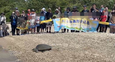 屏東2隻欖蠵龜重回大海 海廢製成野放箱別具意義