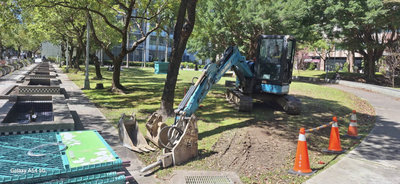 護樹團體關注內湖移樹 北市捷運局：有配套措施