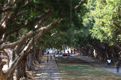 東海大學新董事會黃金陣容 楊泮池、蔡明忠入列