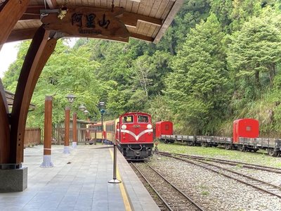 阿里山林鐵誤點38分鐘疑人為疏失　林鐵處究責