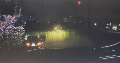 南警深夜攔檢自小客　逃逸越籍移工駕駛棄車逃離