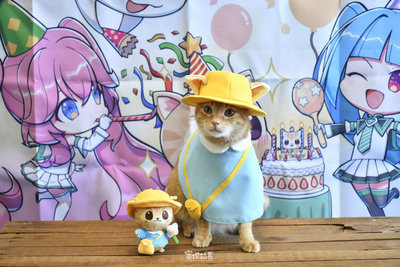 蜜柑6歲生日　高雄捷運嗶卡「貓叫聲」、呼嚕聲廣播