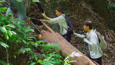 韓星挑戰台灣古道　金荷娜摔糯米糰惹笑料